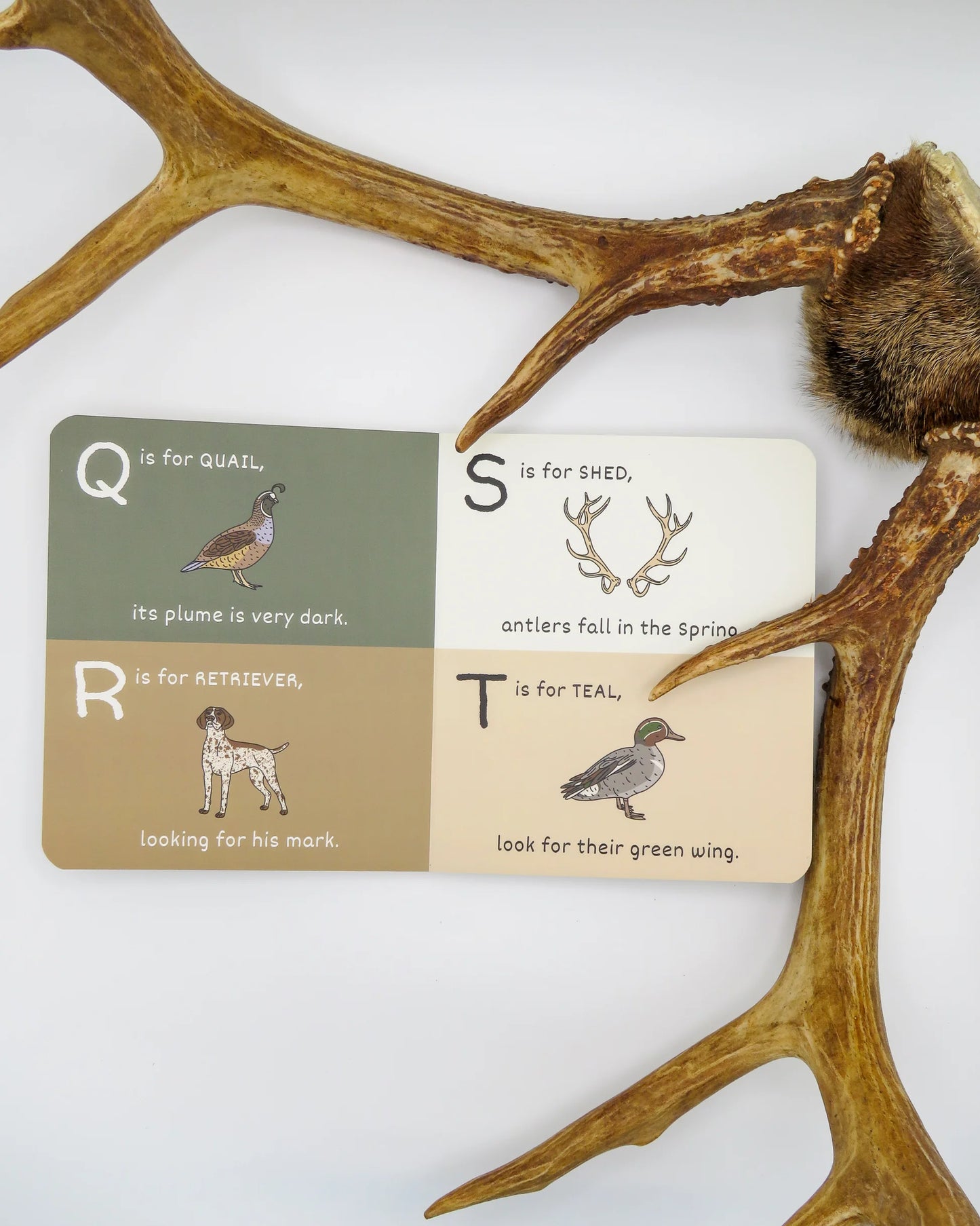 The ABCs of Hunting