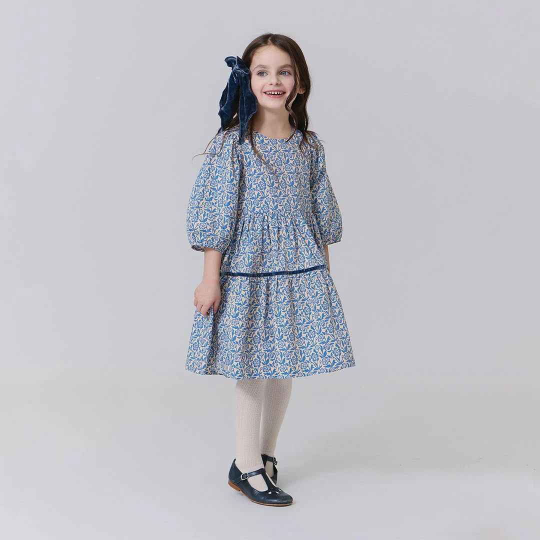 Maribelle Dress-Blue Climbing Floral