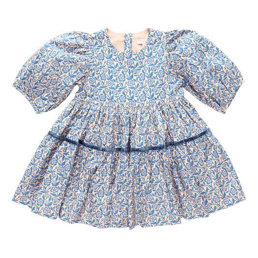 Maribelle Dress-Blue Climbing Floral