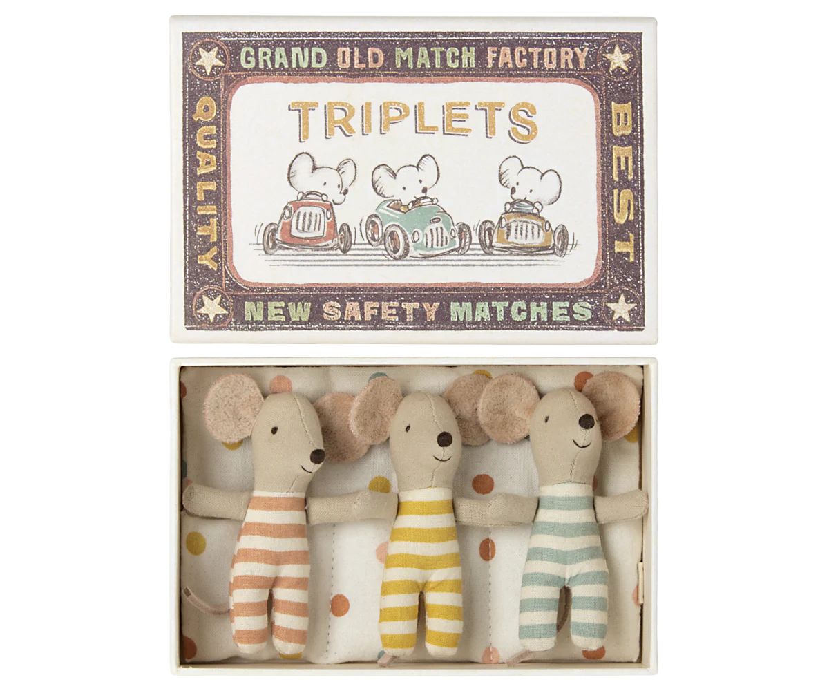Baby Mice- Triplets