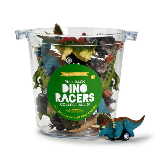 Dinosaur Pull Back Toy