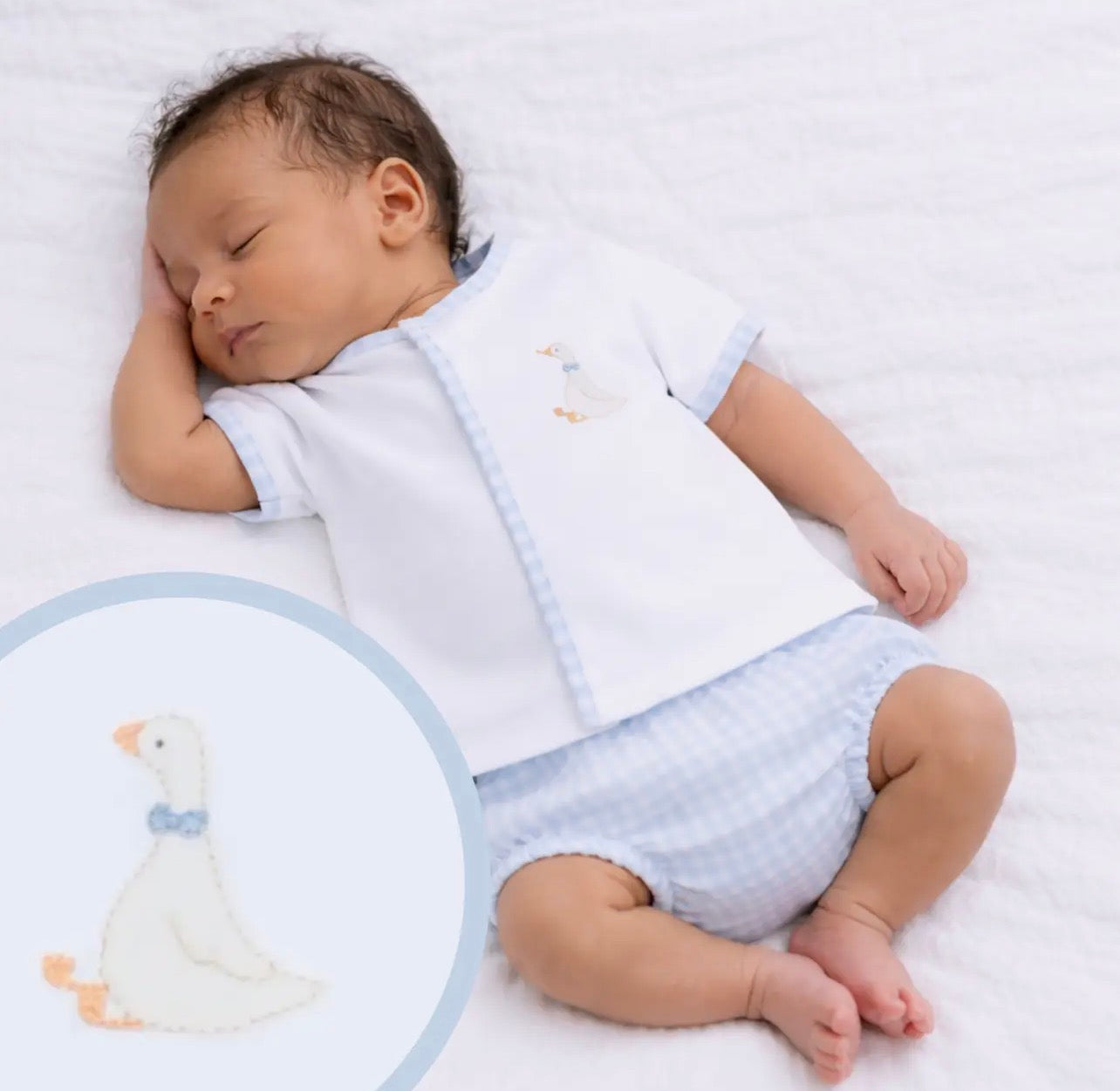 Silly Goose Diaper Cover Set- Blue