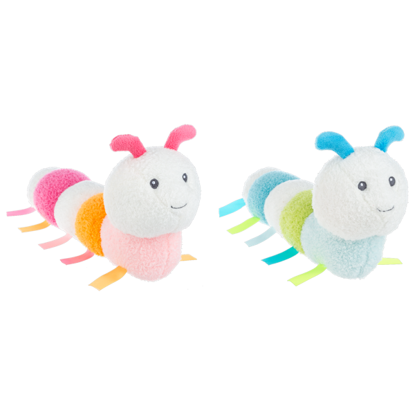 Glow Worms
