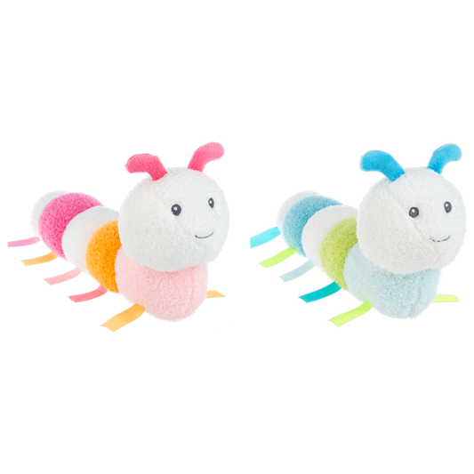 Glow Worms