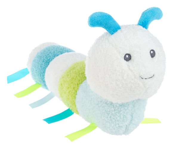 Glow Worms