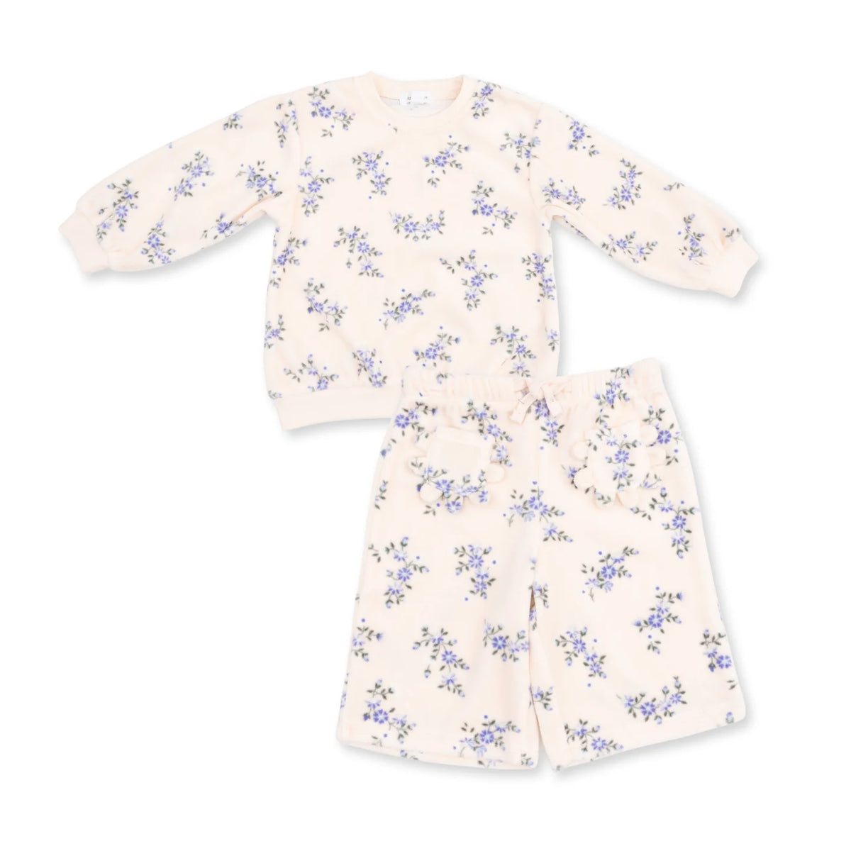 Sweet Hanna Floral Velour-Sweatshirt & Pant