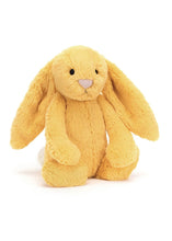 Load image into Gallery viewer, Bashful Sunshine Bunny Med